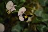 184237 – Photo : Christian Berquer – Mayotte